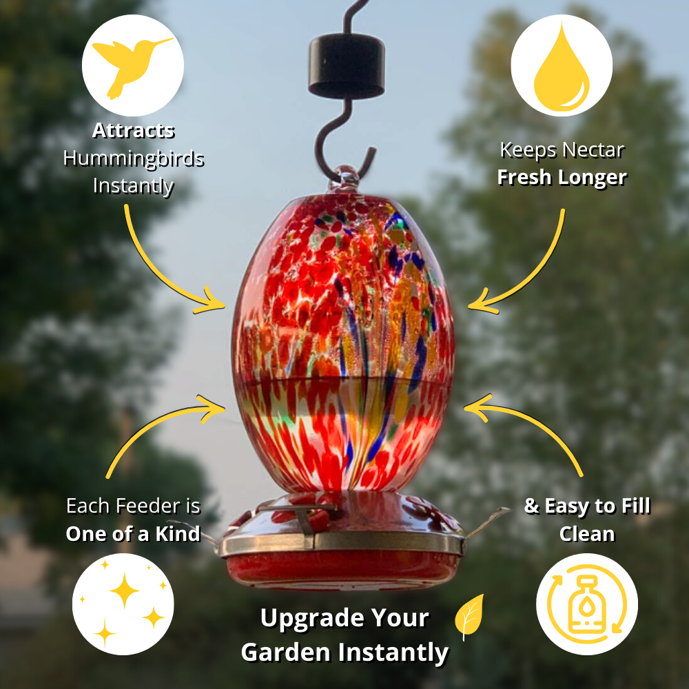 Hand Blown Glass Feeder