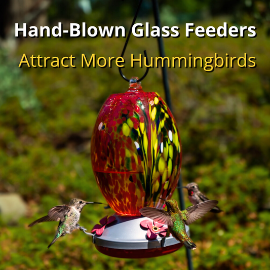 Hand Blown Glass Feeder